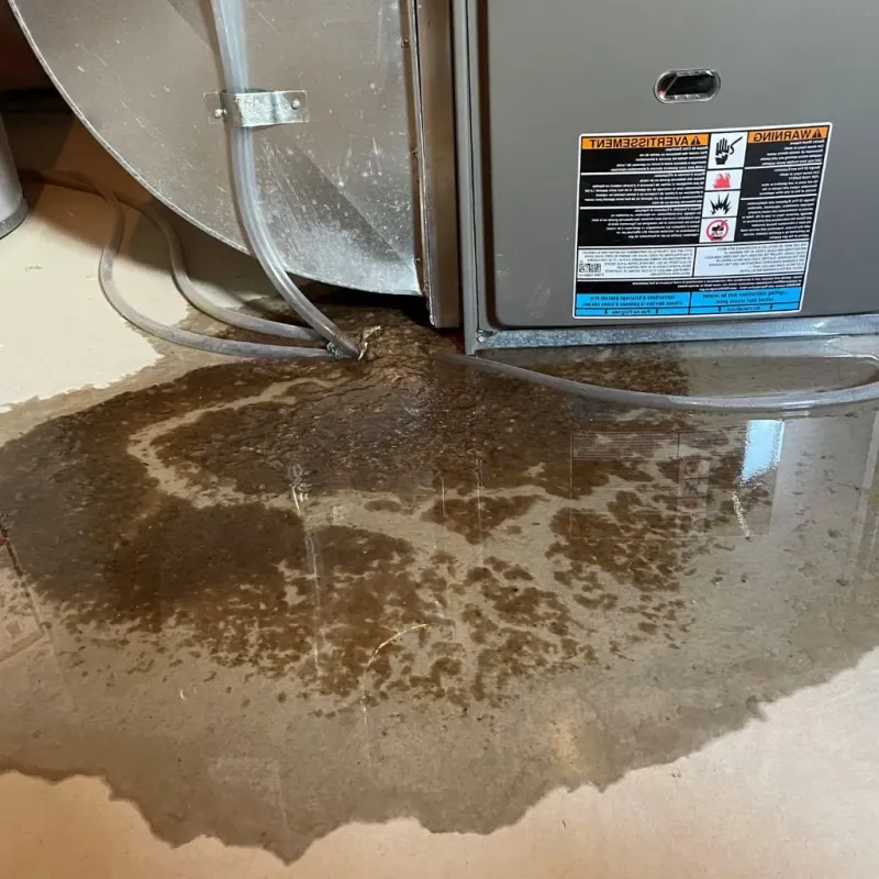 Pipe Burst and Leak Restoration in Tiptonville, TN