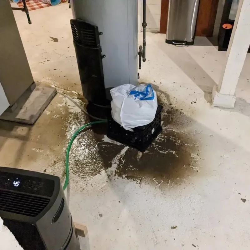 Sewage Backup Cleanup Service in Tiptonville, TN